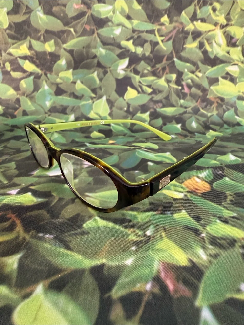 Kate Spade Brown Oval Women's Reading Glasses with Lime Green Temples
